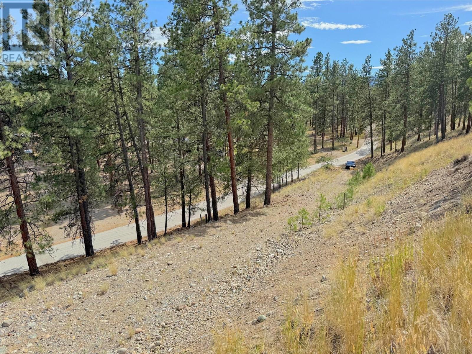 101 Jacobson Road, Princeton, British Columbia  V0X 1W0 - Photo 32 - 10355995