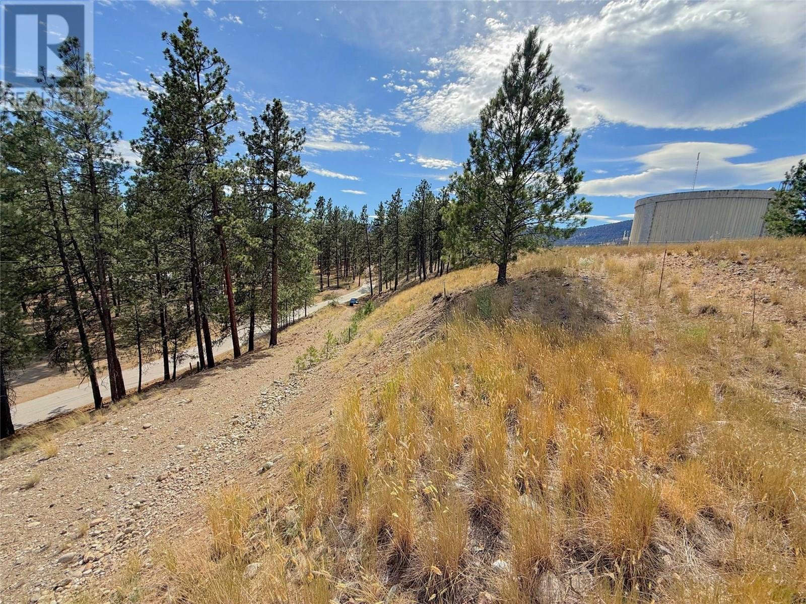 101 Jacobson Road, Princeton, British Columbia  V0X 1W0 - Photo 33 - 10355995