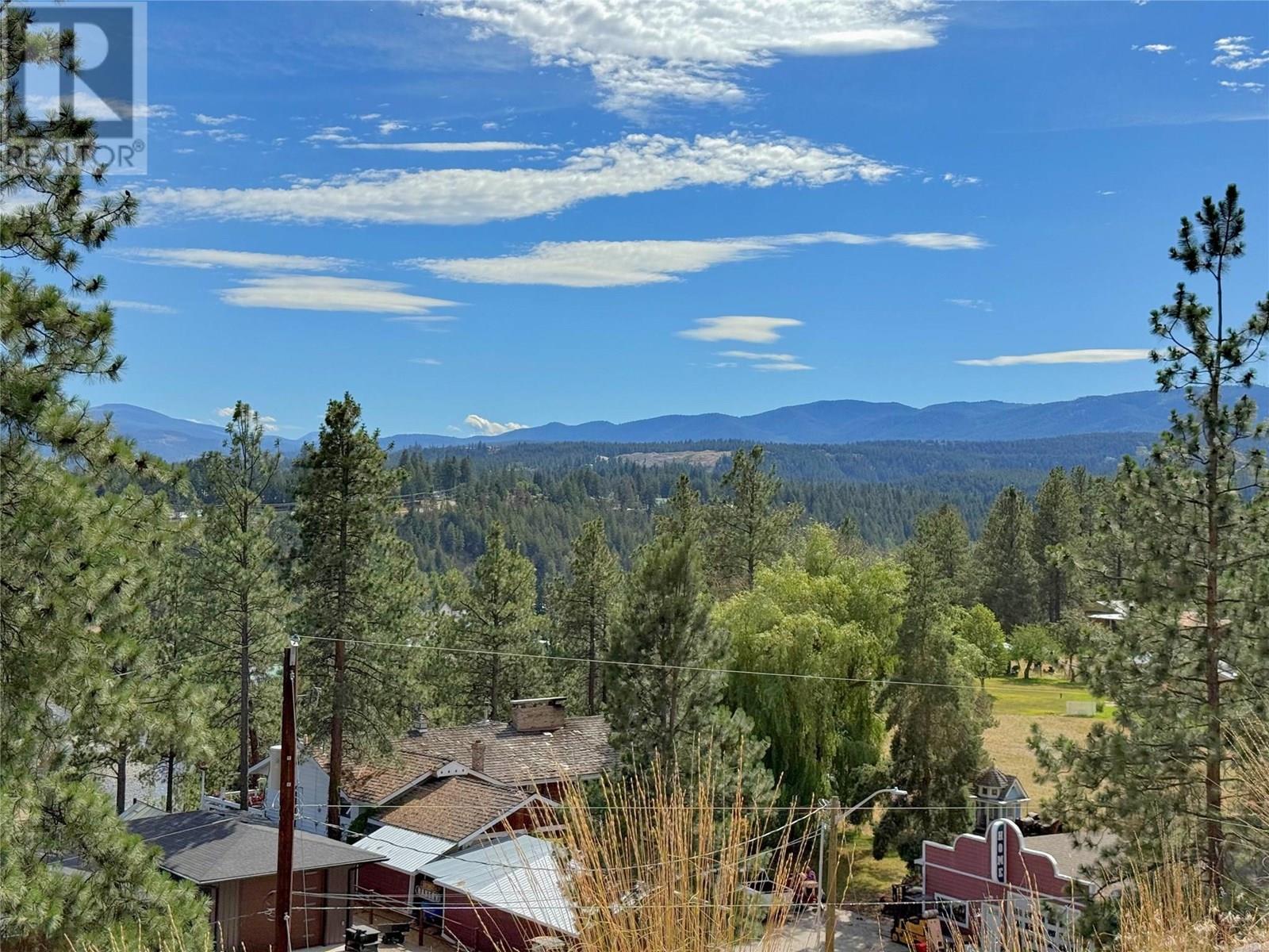 101 Jacobson Road, Princeton, British Columbia  V0X 1W0 - Photo 5 - 10355995