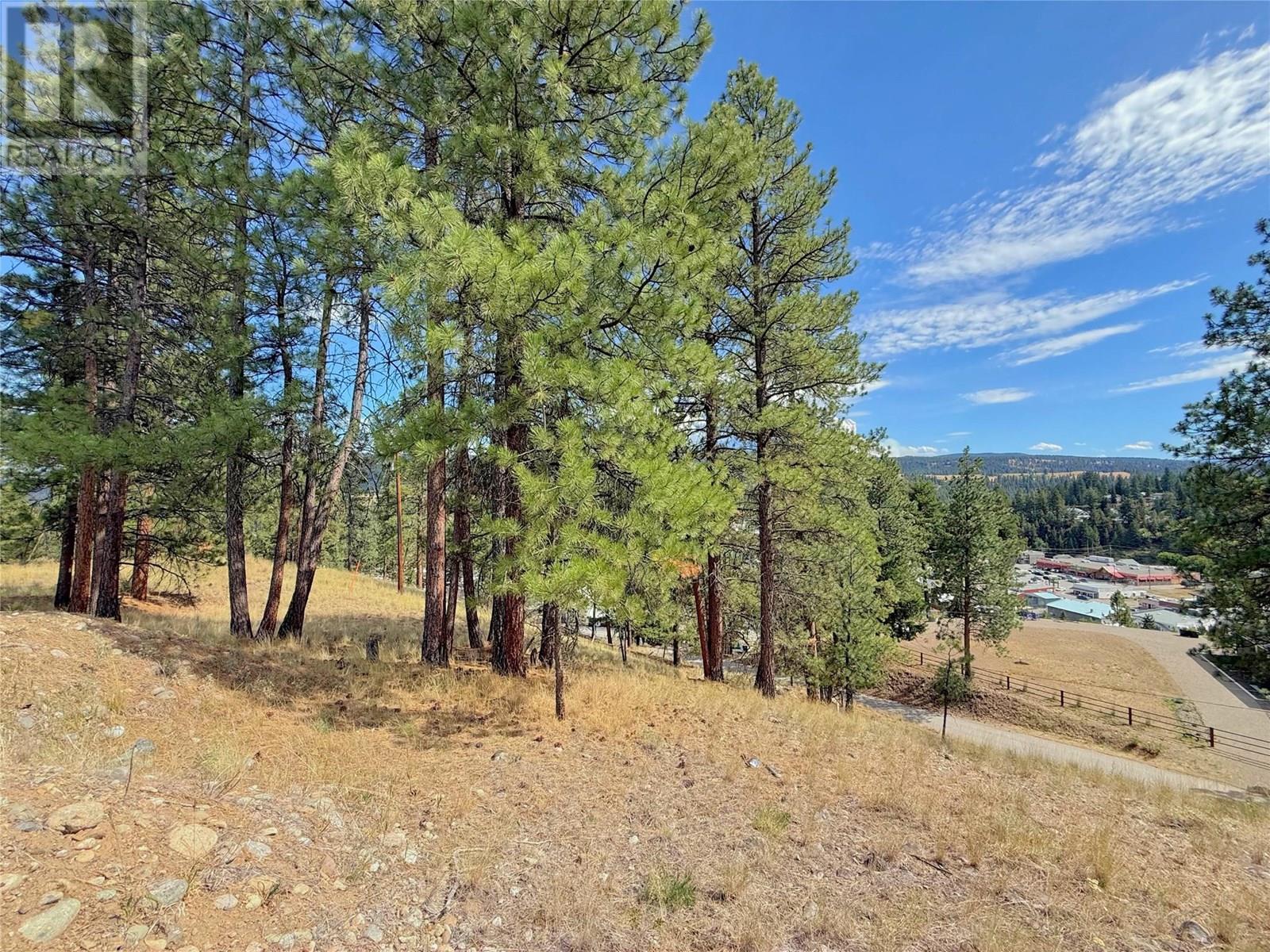 101 Jacobson Road, Princeton, British Columbia  V0X 1W0 - Photo 8 - 10355995