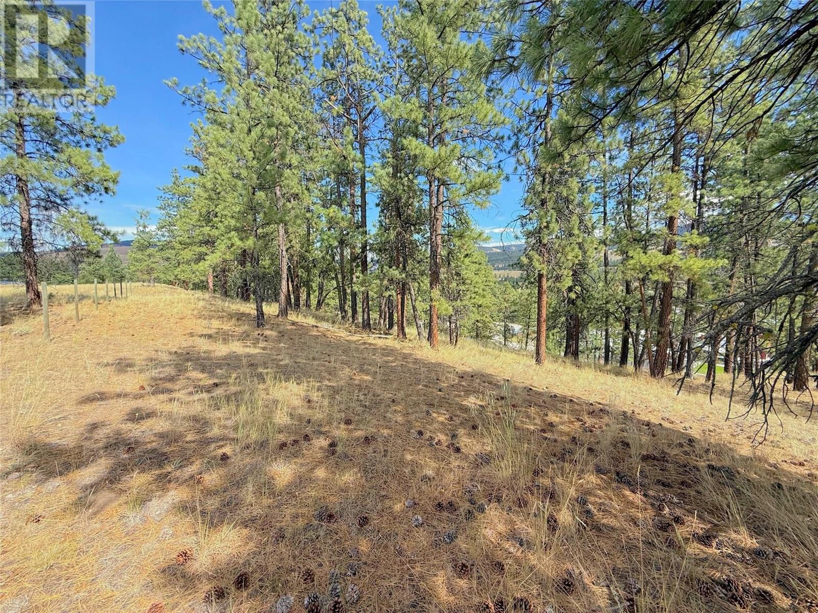 101 Jacobson Road, Princeton, British Columbia  V0X 1W0 - Photo 9 - 10355995