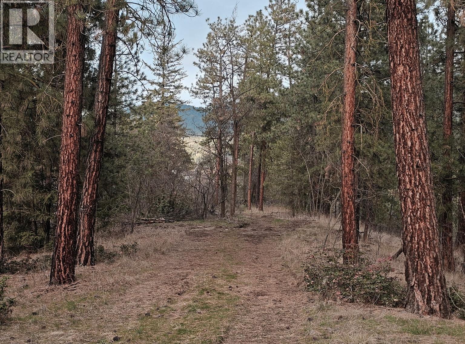 5440 Silver Star Road, Vernon, British Columbia  V1B 3K4 - Photo 10 - 10355980