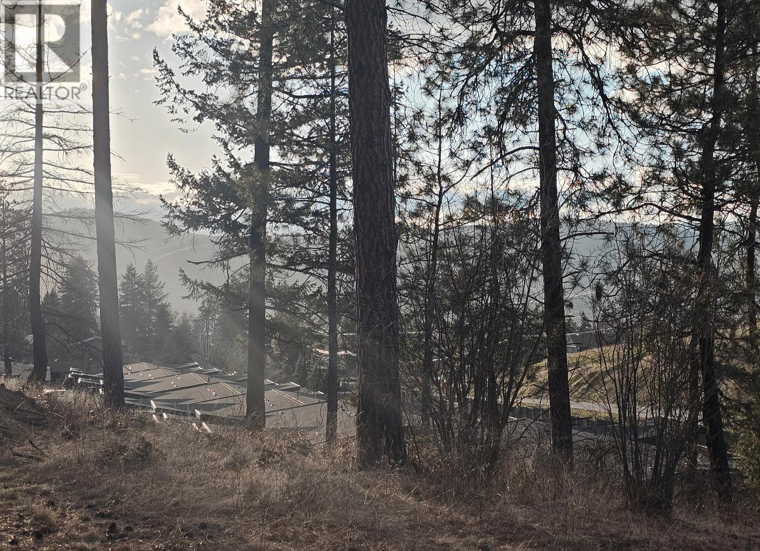 5440 Silver Star Road, Vernon, British Columbia  V1B 3K4 - Photo 11 - 10355980