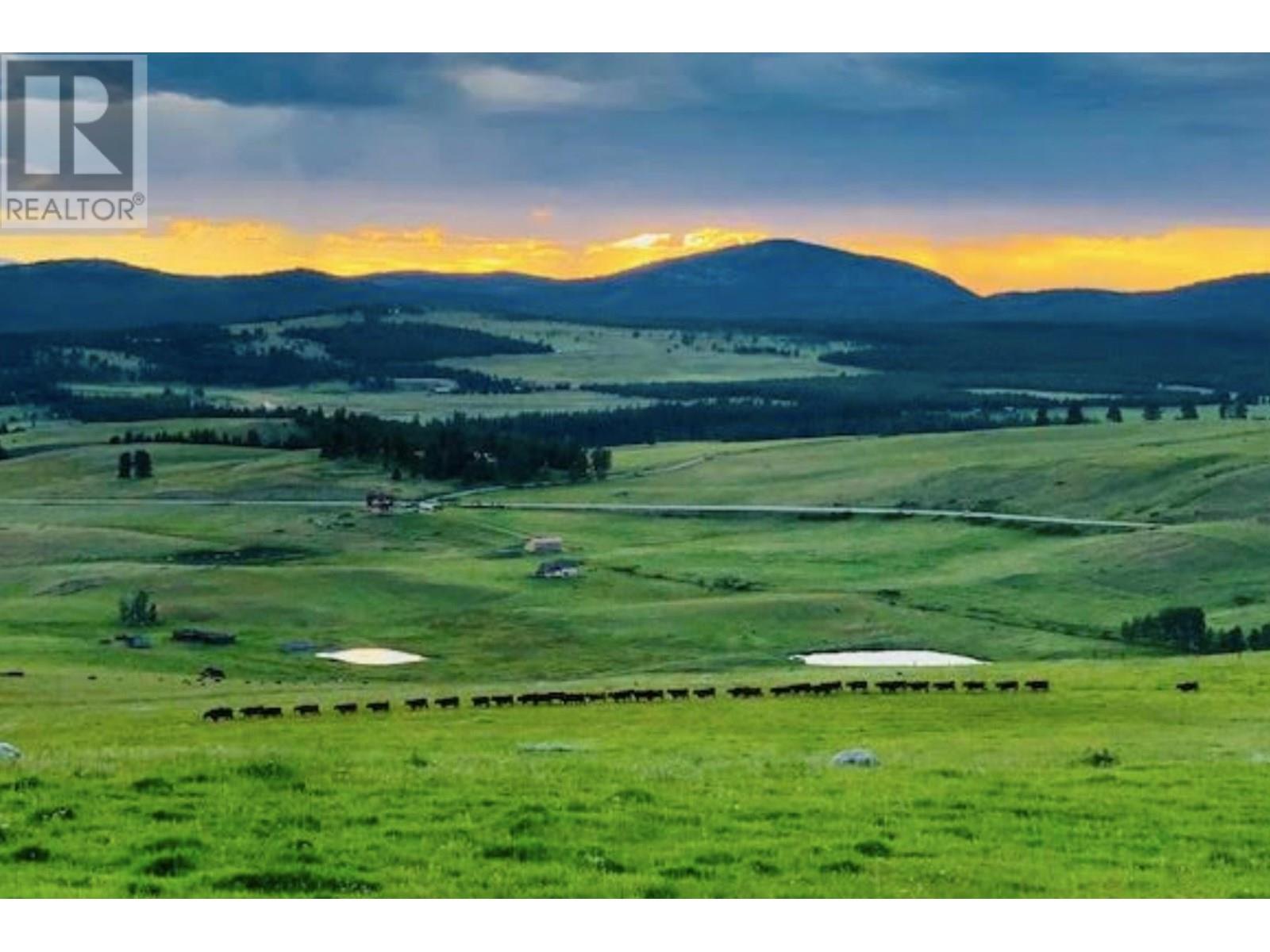 6080 Highway 3, Bridesville, British Columbia  V0H 1Y0 - Photo 25 - 10356165