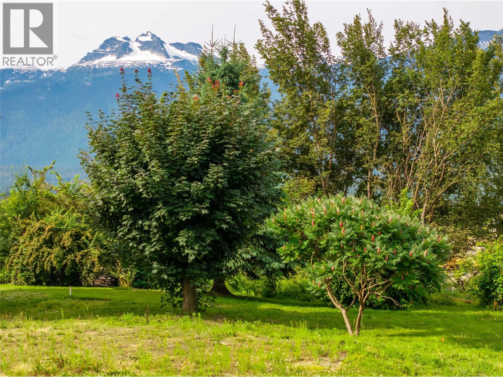 157 Track Street E, Revelstoke, British Columbia  V0E 2S2 - Photo 9 - 10356351