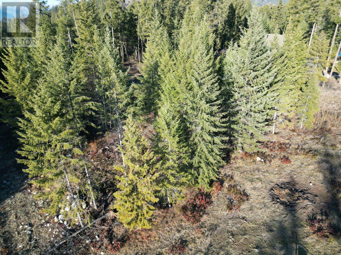 Kensington Place Lot# 4, Christina Lake, British Columbia  V0H 1E0 - Photo 4 - 10356429