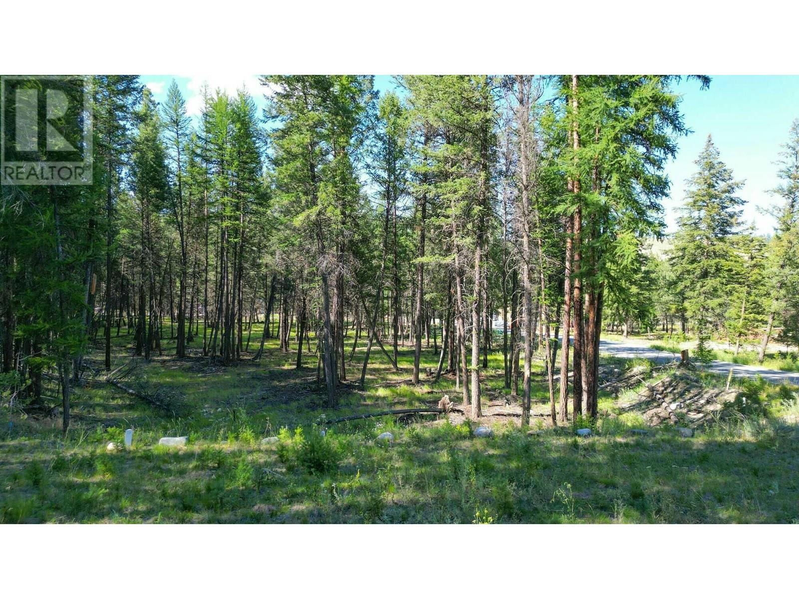 211 River Drive, Cranbrook, British Columbia  V1C 7C3 - Photo 2 - 10356475