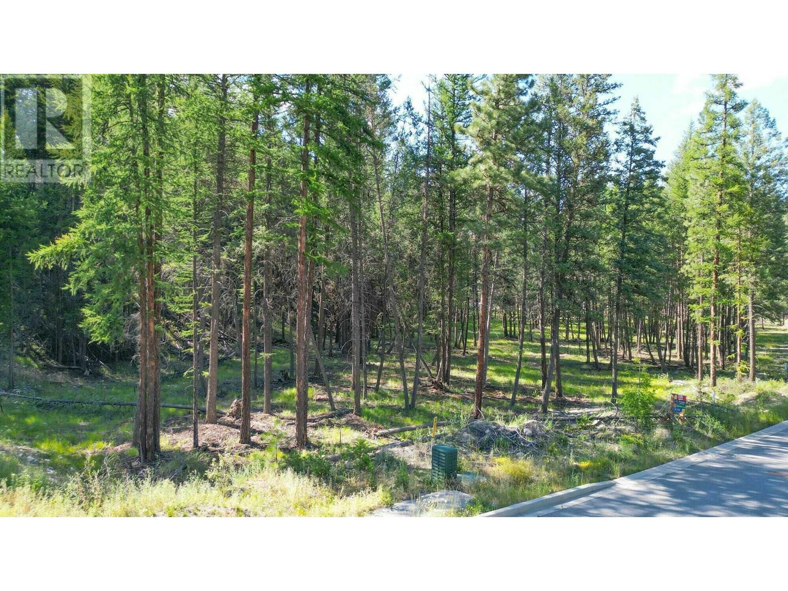 211 River Drive, Cranbrook, British Columbia  V1C 7C3 - Photo 4 - 10356475