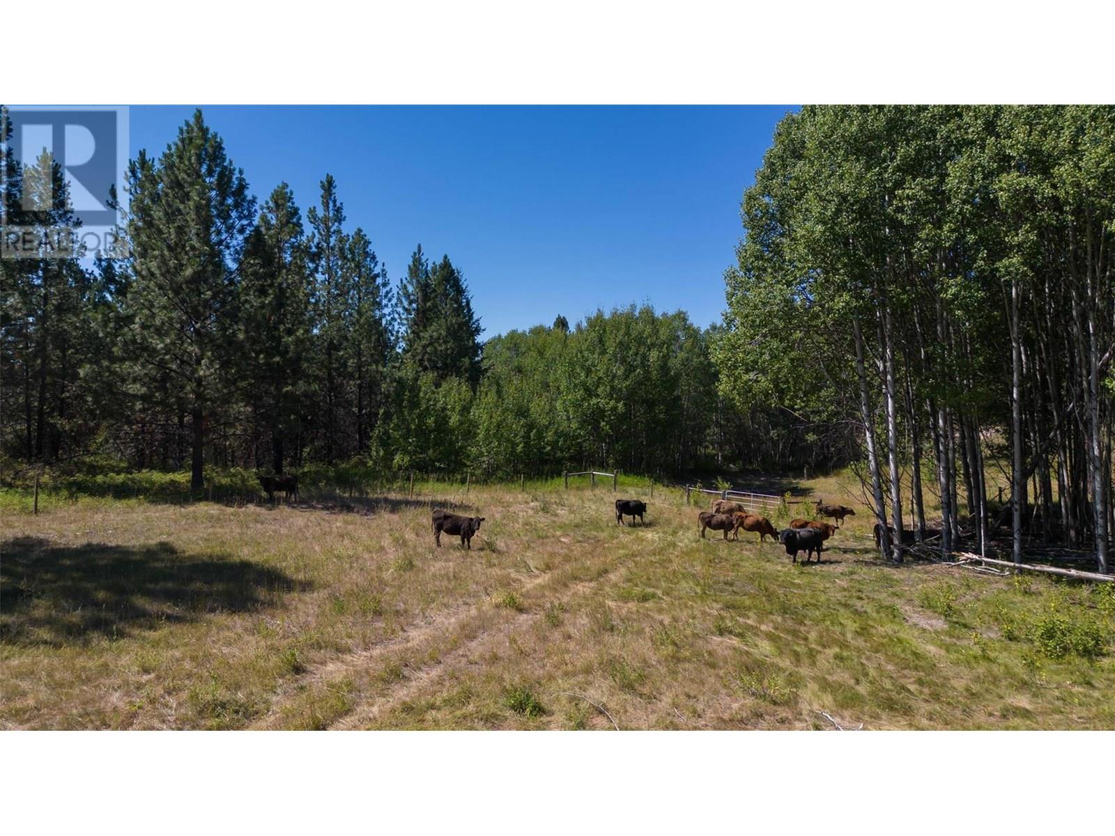 26 Commonage Road, Vernon, British Columbia  V1H 1G4 - Photo 83 - 10356749