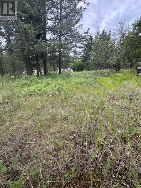 Lot 53 Hirtz Street, Elko, British Columbia  V0B 1T3 - Photo 1 - 10356774