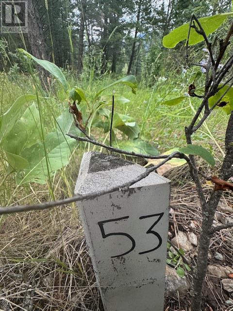 Lot 53 Hirtz Street, Elko, British Columbia  V0B 1T3 - Photo 2 - 10356774