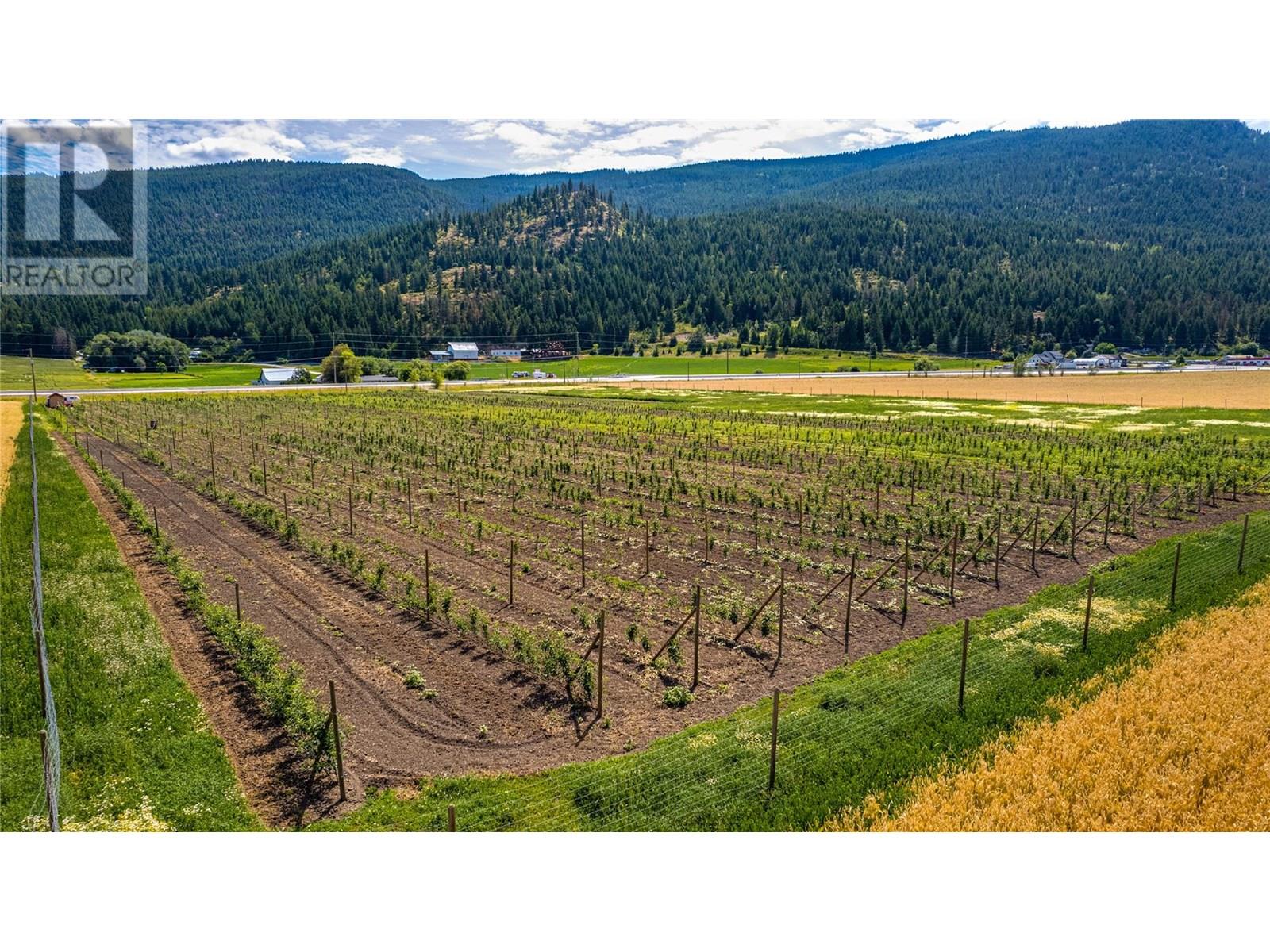 1939 97a Highway, Armstrong, British Columbia  V0E 1B6 - Photo 10 - 10356698