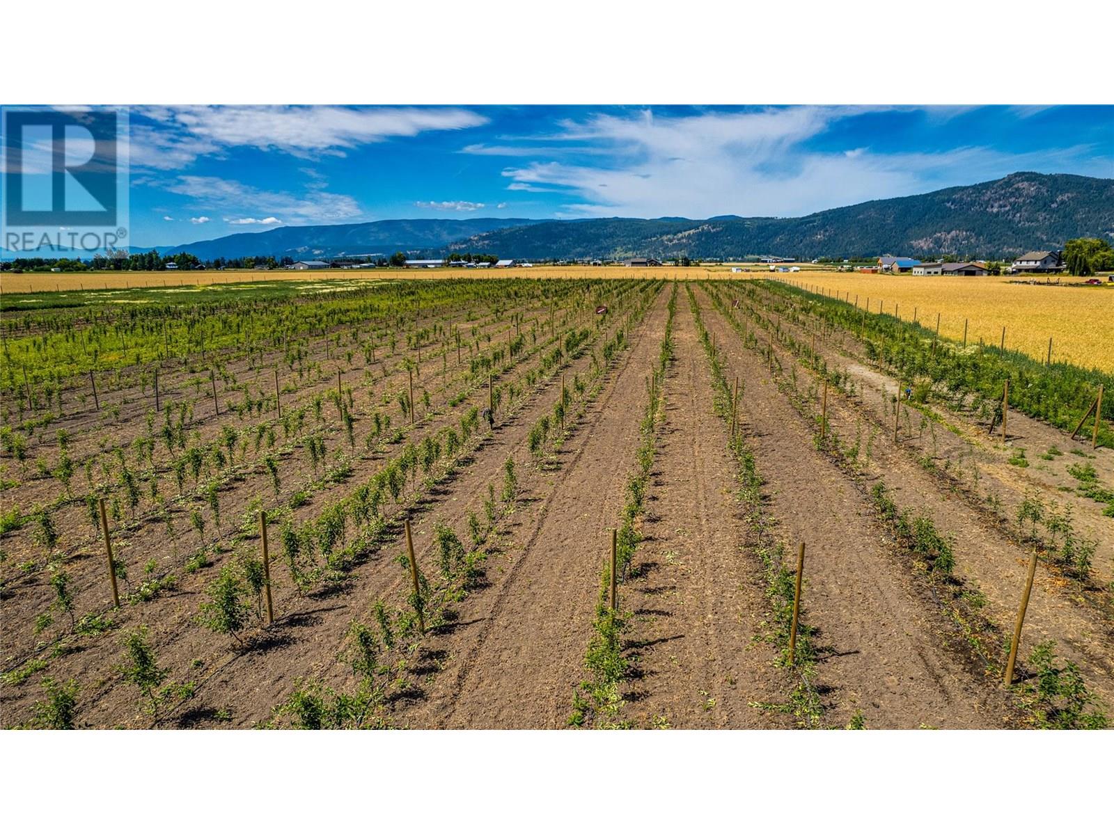 1939 97a Highway, Armstrong, British Columbia  V0E 1B6 - Photo 15 - 10356698