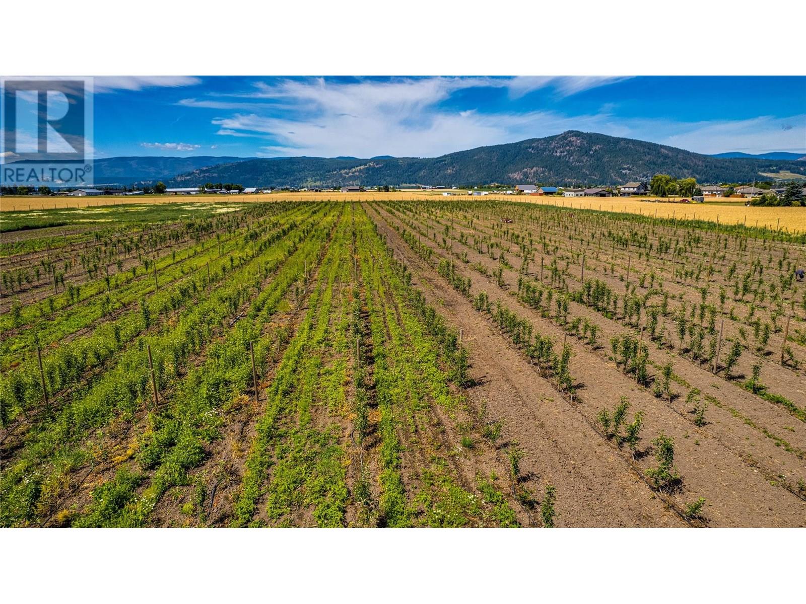 1939 97a Highway, Armstrong, British Columbia  V0E 1B6 - Photo 16 - 10356698