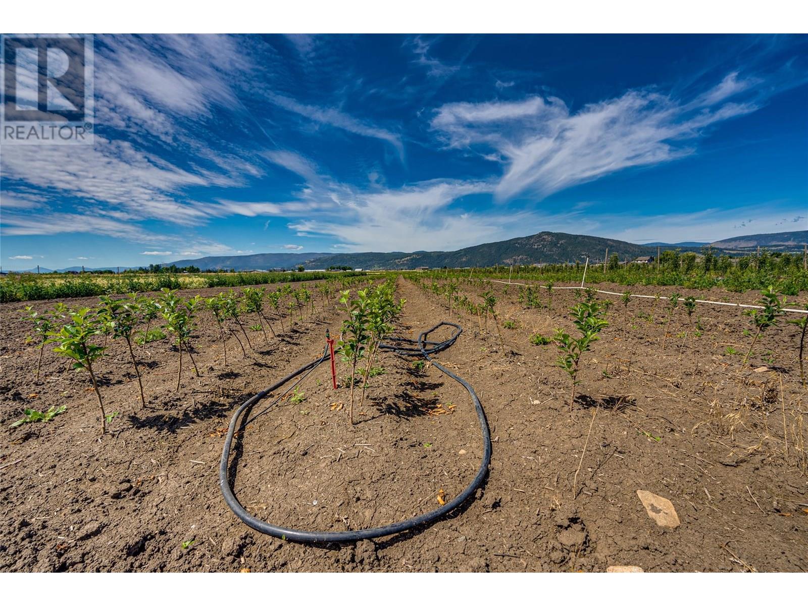 1939 97a Highway, Armstrong, British Columbia  V0E 1B6 - Photo 20 - 10356698