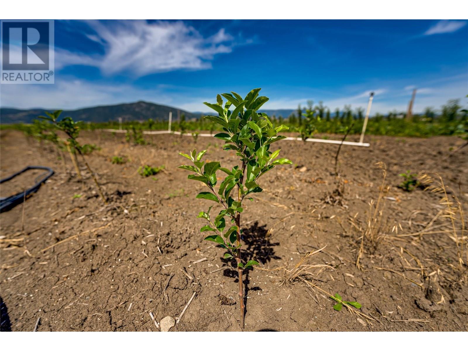 1939 97a Highway, Armstrong, British Columbia  V0E 1B6 - Photo 21 - 10356698