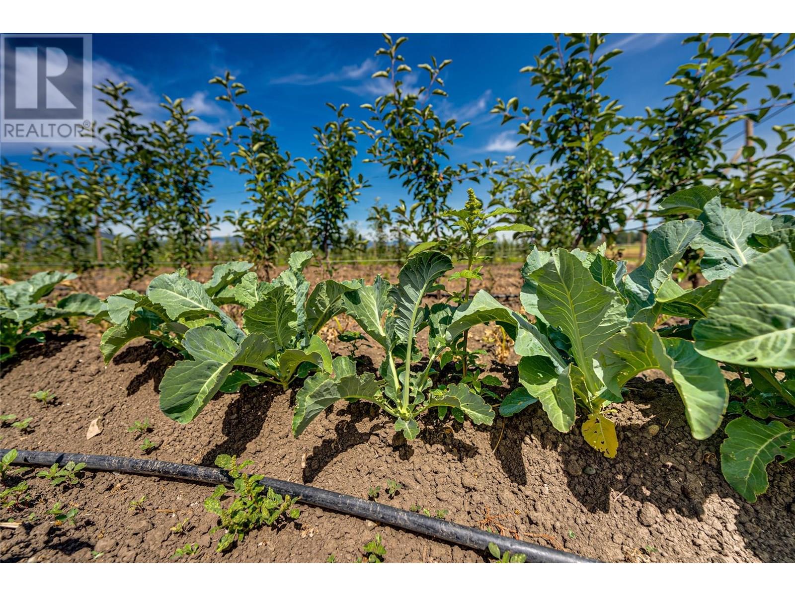 1939 97a Highway, Armstrong, British Columbia  V0E 1B6 - Photo 22 - 10356698