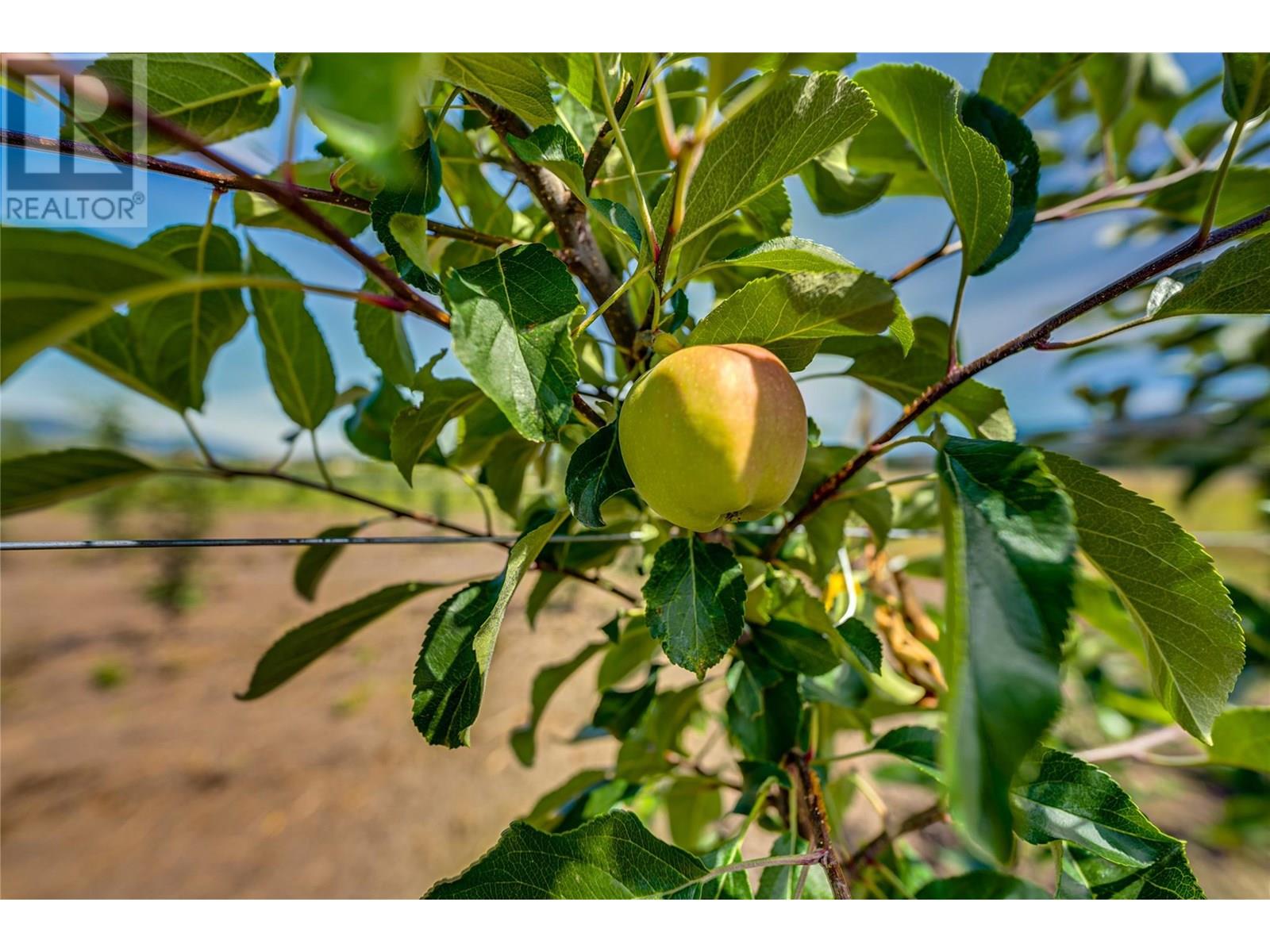 1939 97a Highway, Armstrong, British Columbia  V0E 1B6 - Photo 23 - 10356698