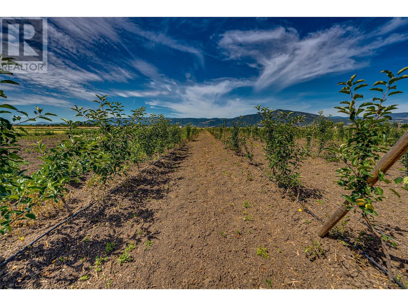 1939 97a Highway, Armstrong, British Columbia  V0E 1B6 - Photo 24 - 10356698