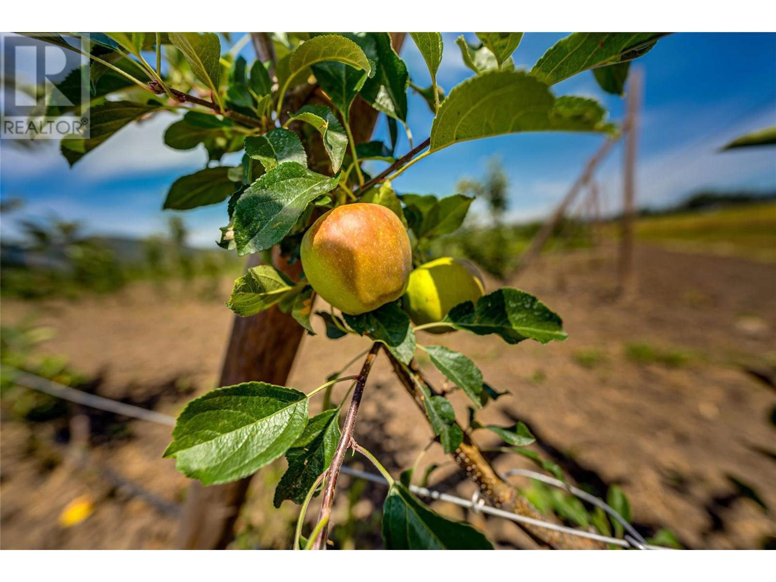 1939 97a Highway, Armstrong, British Columbia  V0E 1B6 - Photo 25 - 10356698