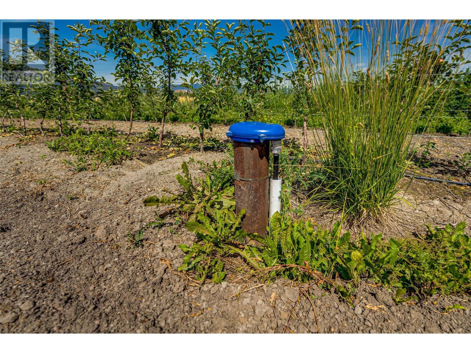 1939 97a Highway, Armstrong, British Columbia  V0E 1B6 - Photo 26 - 10356698