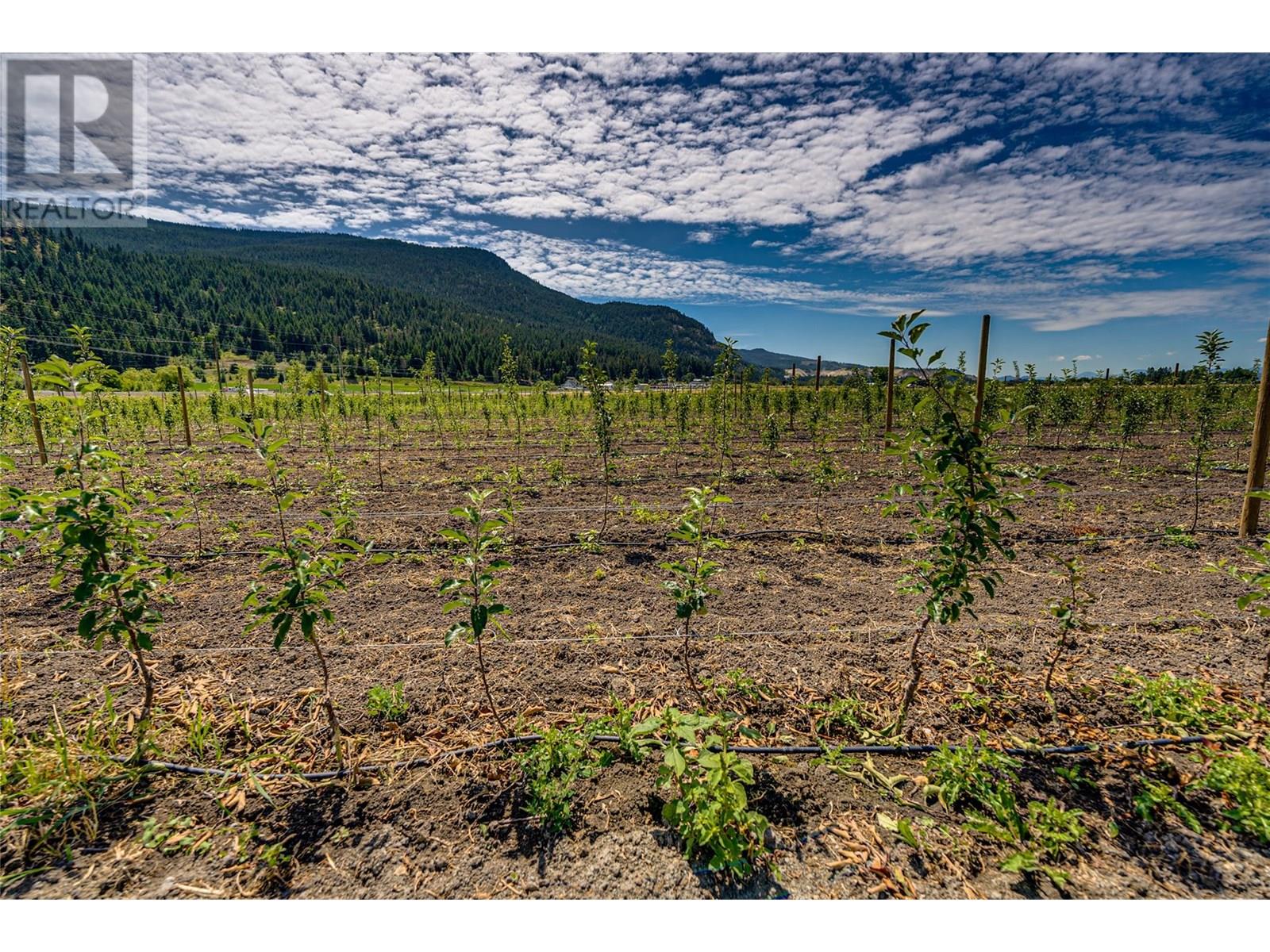 1939 97a Highway, Armstrong, British Columbia  V0E 1B6 - Photo 27 - 10356698