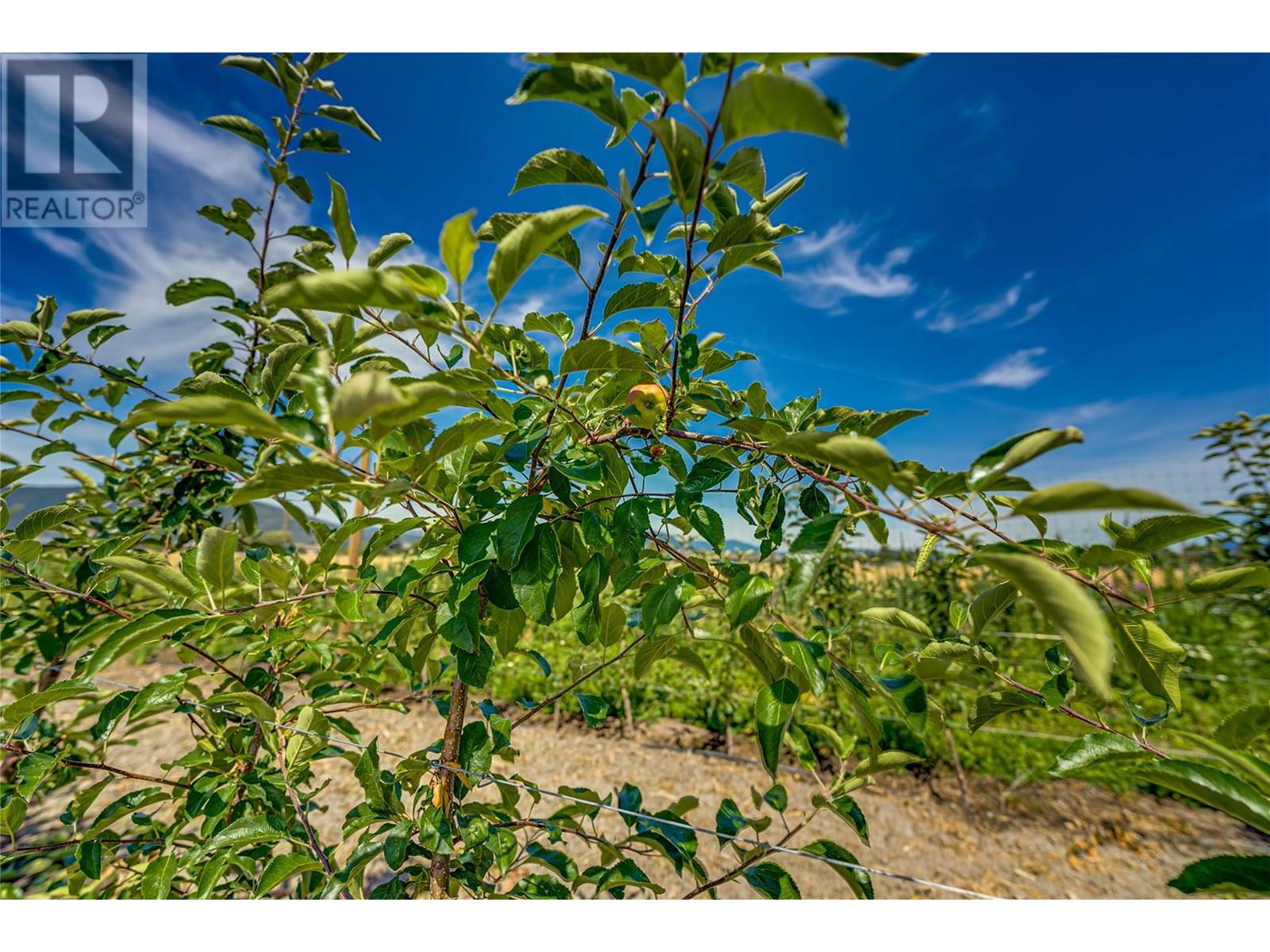 1939 97a Highway, Armstrong, British Columbia  V0E 1B6 - Photo 28 - 10356698