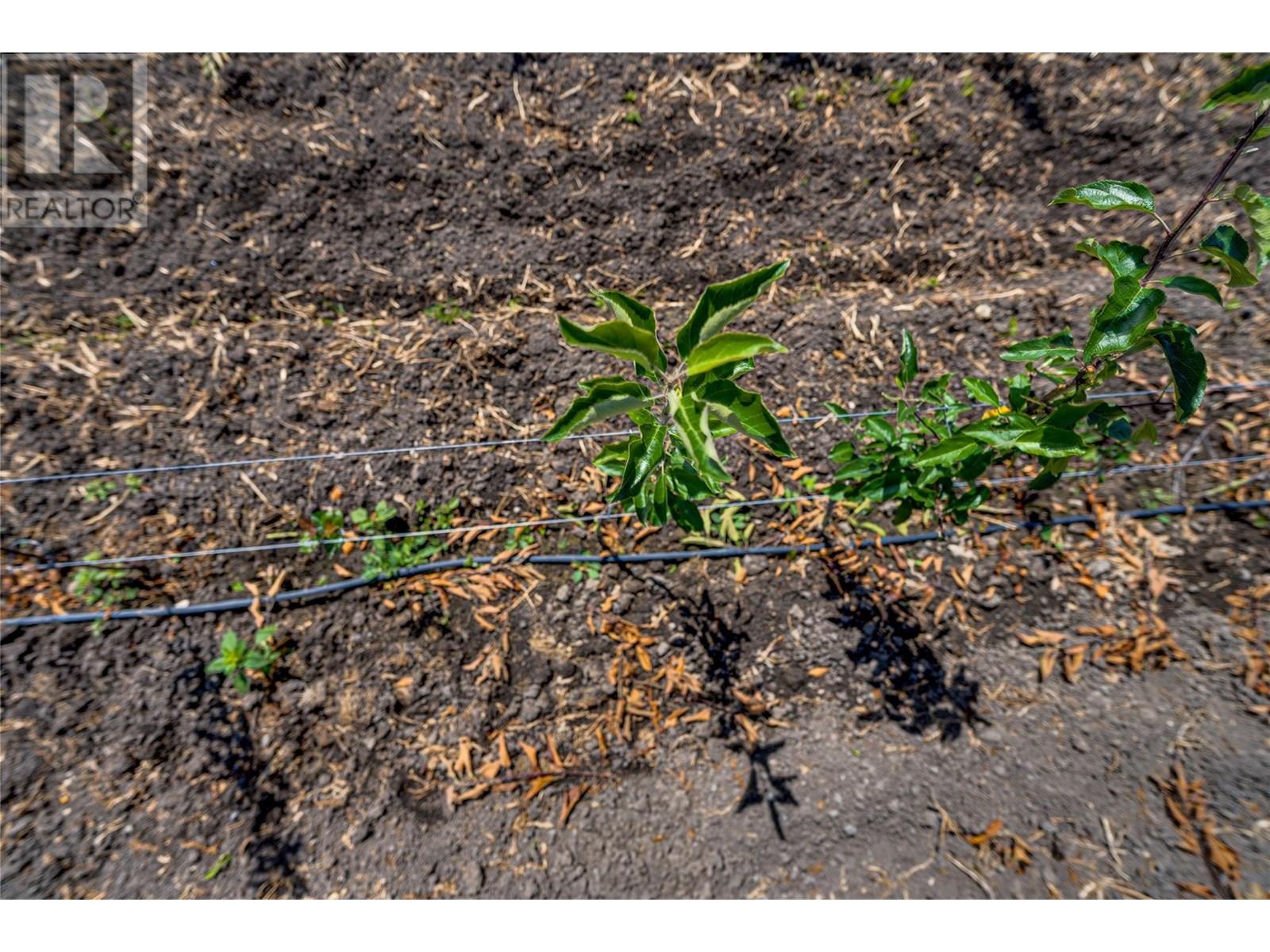 1939 97a Highway, Armstrong, British Columbia  V0E 1B6 - Photo 29 - 10356698