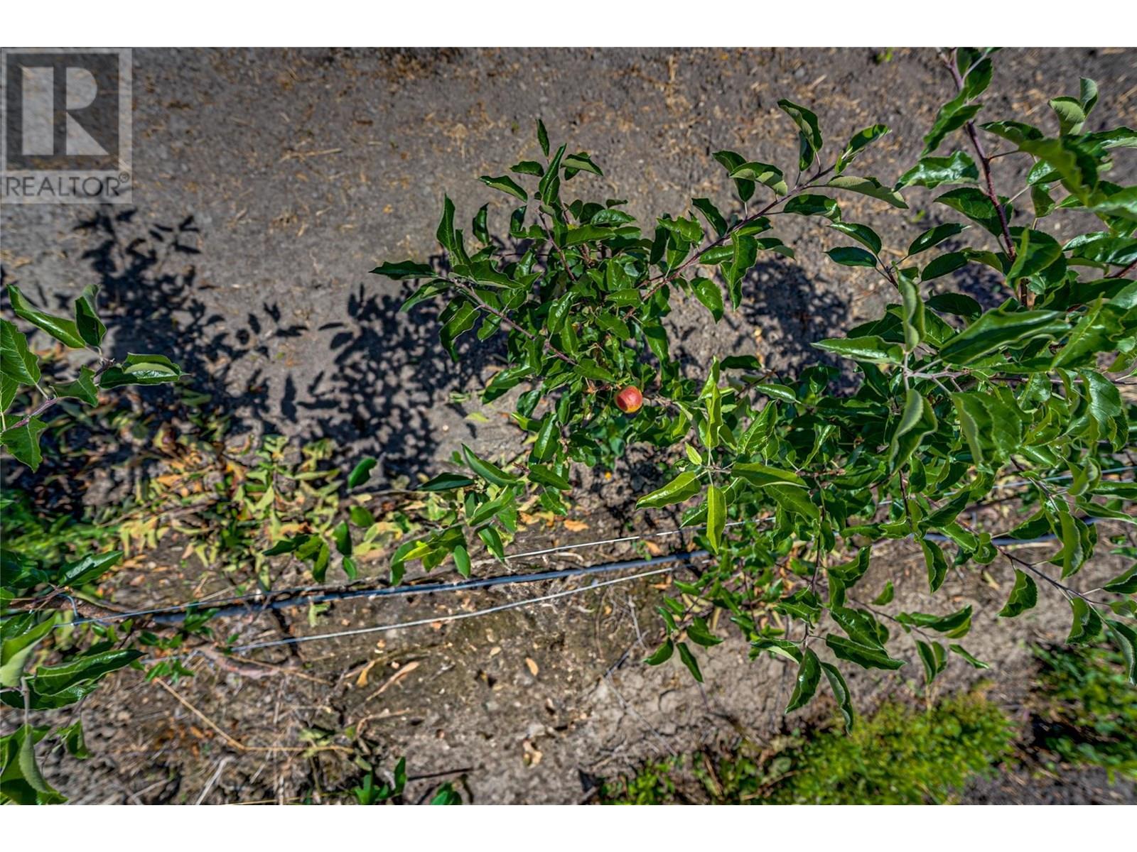 1939 97a Highway, Armstrong, British Columbia  V0E 1B6 - Photo 30 - 10356698