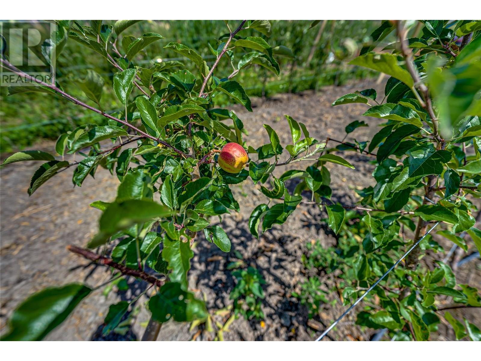 1939 97a Highway, Armstrong, British Columbia  V0E 1B6 - Photo 31 - 10356698