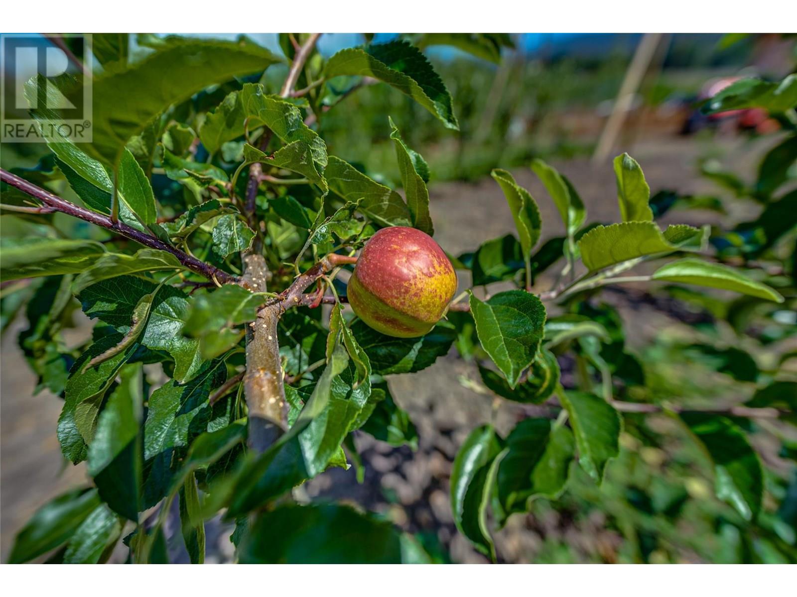 1939 97a Highway, Armstrong, British Columbia  V0E 1B6 - Photo 32 - 10356698