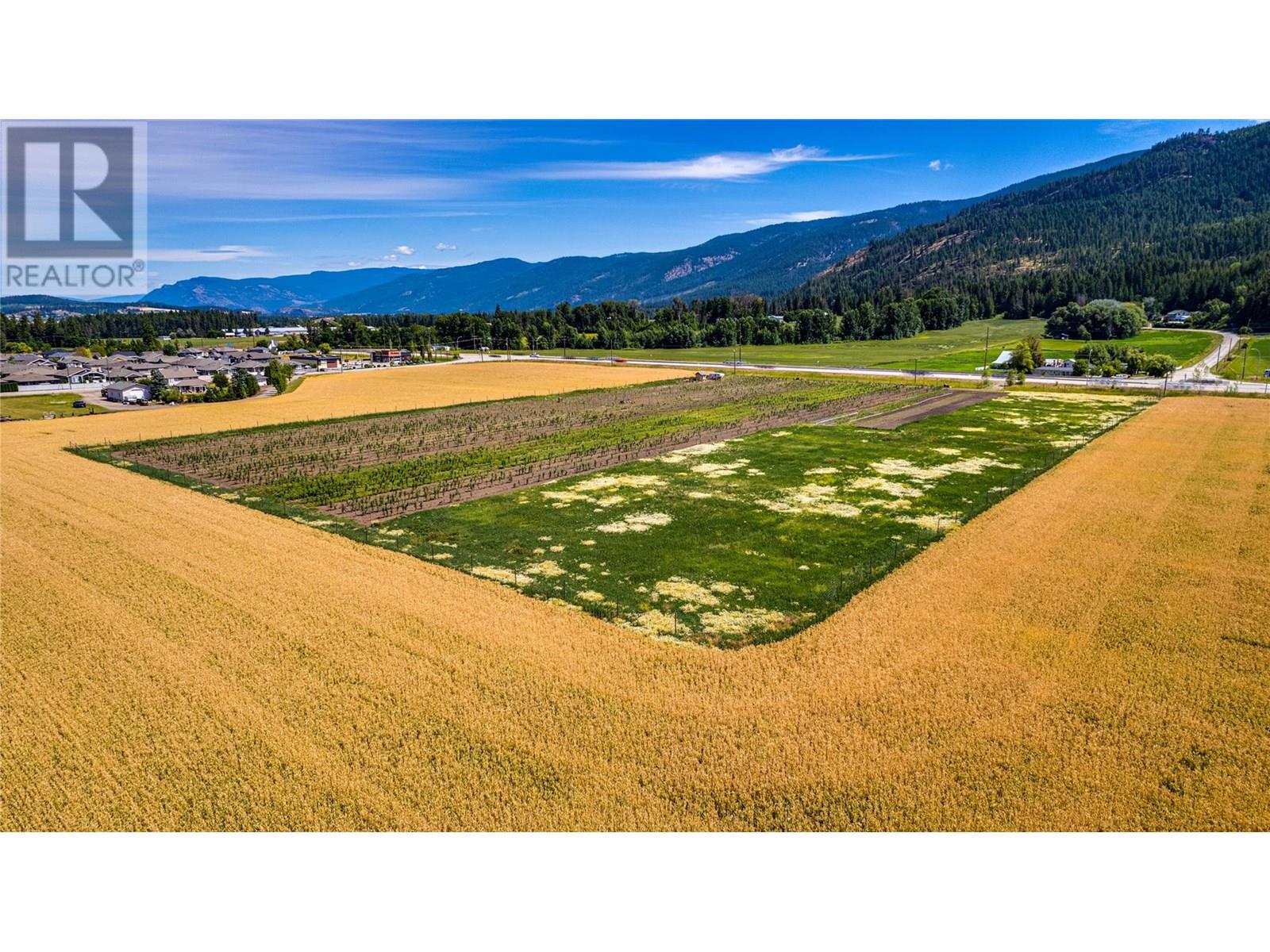 1939 97a Highway, Armstrong, British Columbia  V0E 1B6 - Photo 6 - 10356698