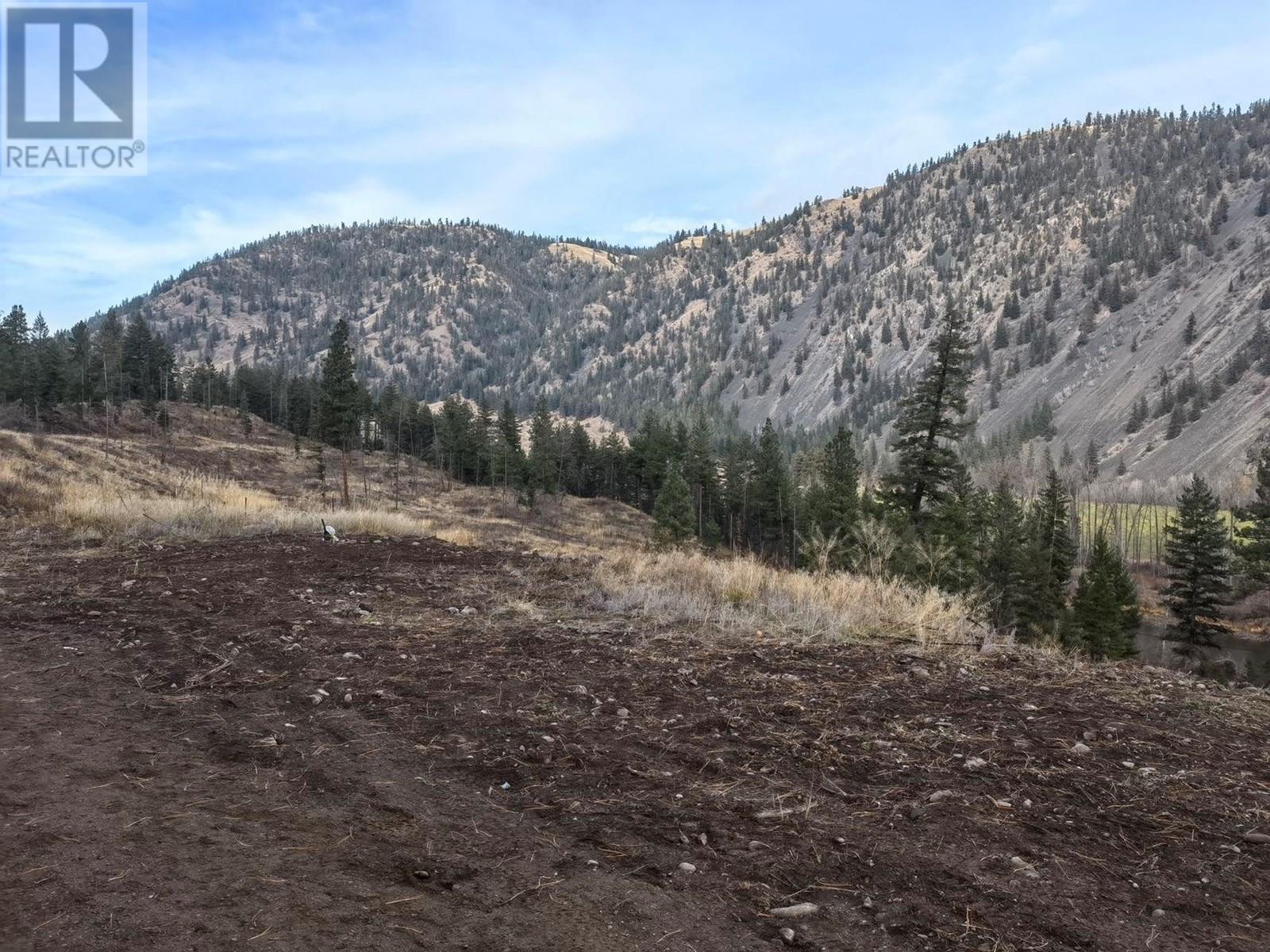 799 Highway 3, Princeton, British Columbia  V0X 1W0 - Photo 5 - 10356745