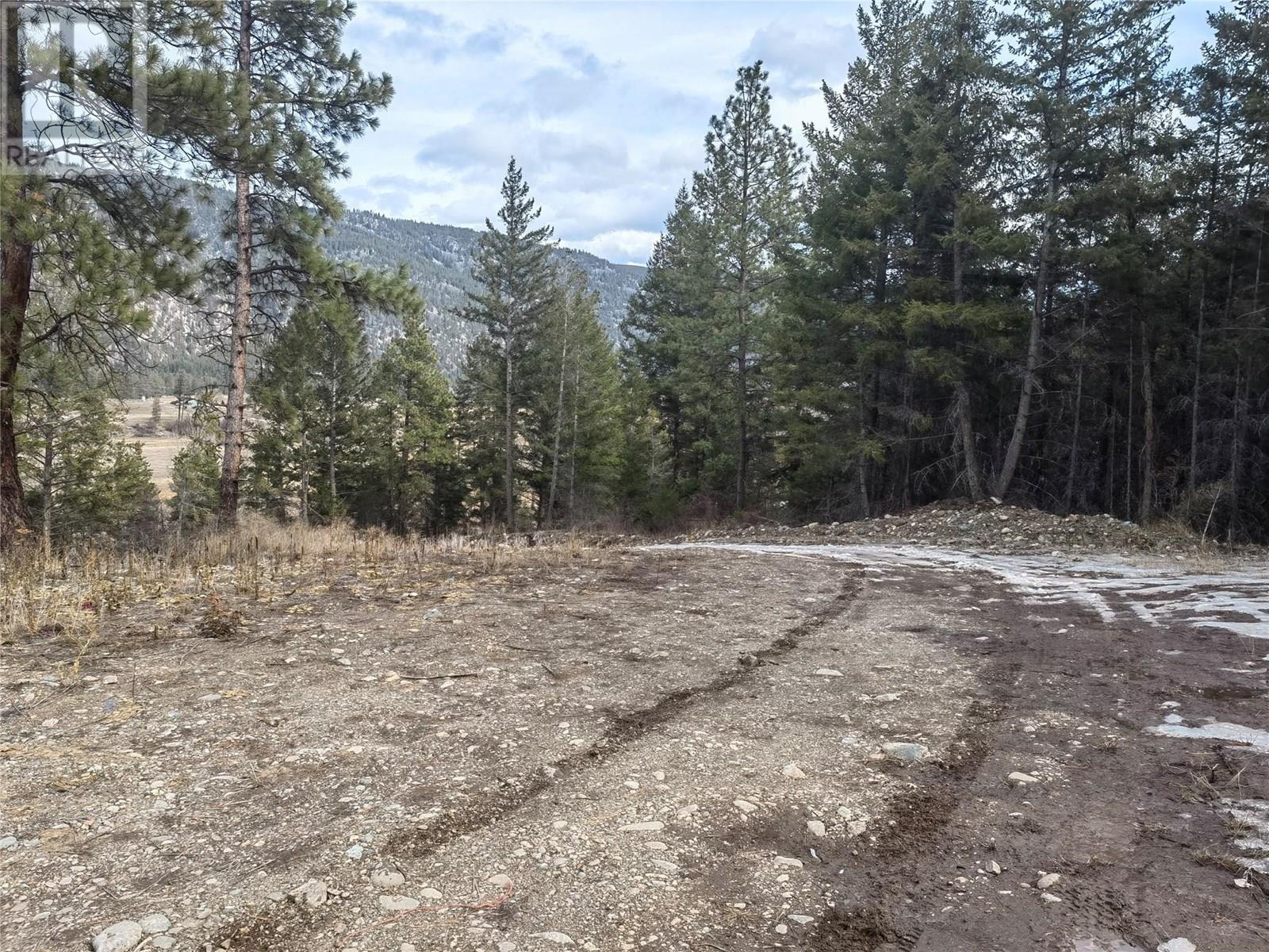 799 Highway 3, Princeton, British Columbia  V0X 1W0 - Photo 6 - 10356745