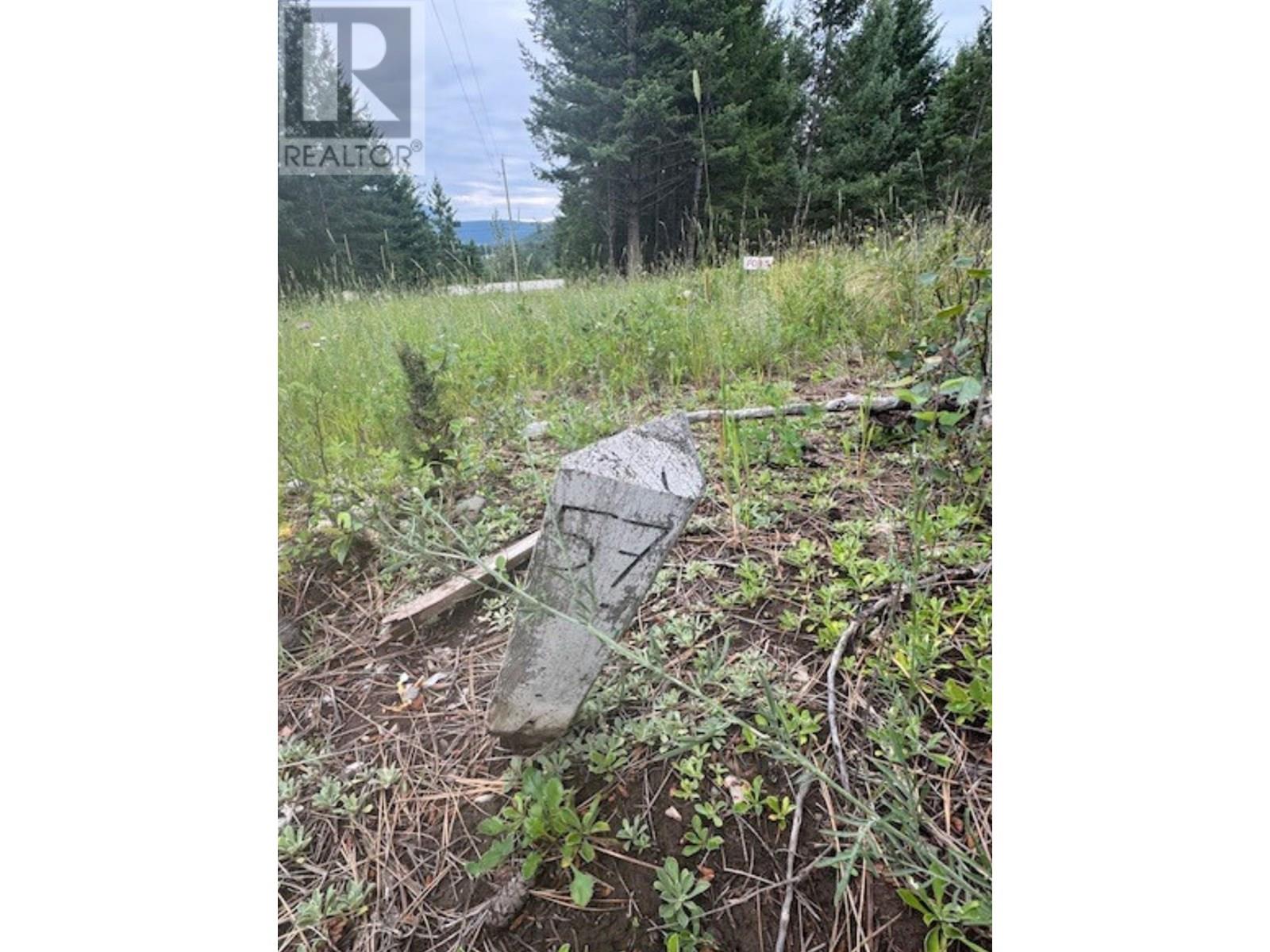 Lot 57 Charles Street, Elko, British Columbia  V0B 1T3 - Photo 1 - 10356792
