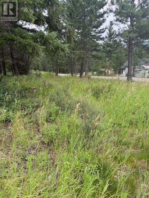 Lot 56 Charles Street, Elko, British Columbia  V0B 1T3 - Photo 1 - 10356833