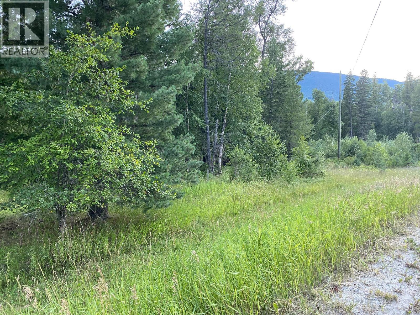 Sec. 15 6 Highway Unit# Ne 1/4 Lot# Ne 1/4, Edgewood, British Columbia  V0J 1J0 - Photo 3 - 10356830