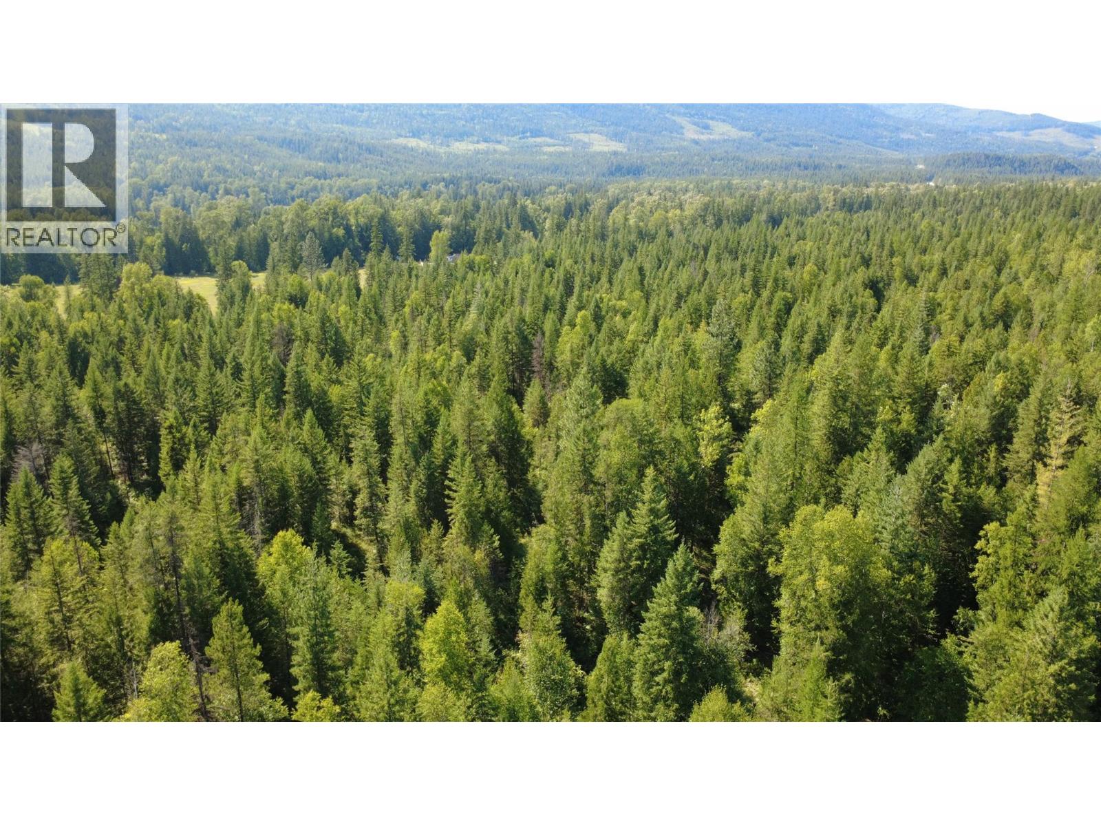 Nw1/4, Sec. 22 Hwy 6 Highway, Edgewood, British Columbia  V0H 1Z8 - Photo 4 - 10356819