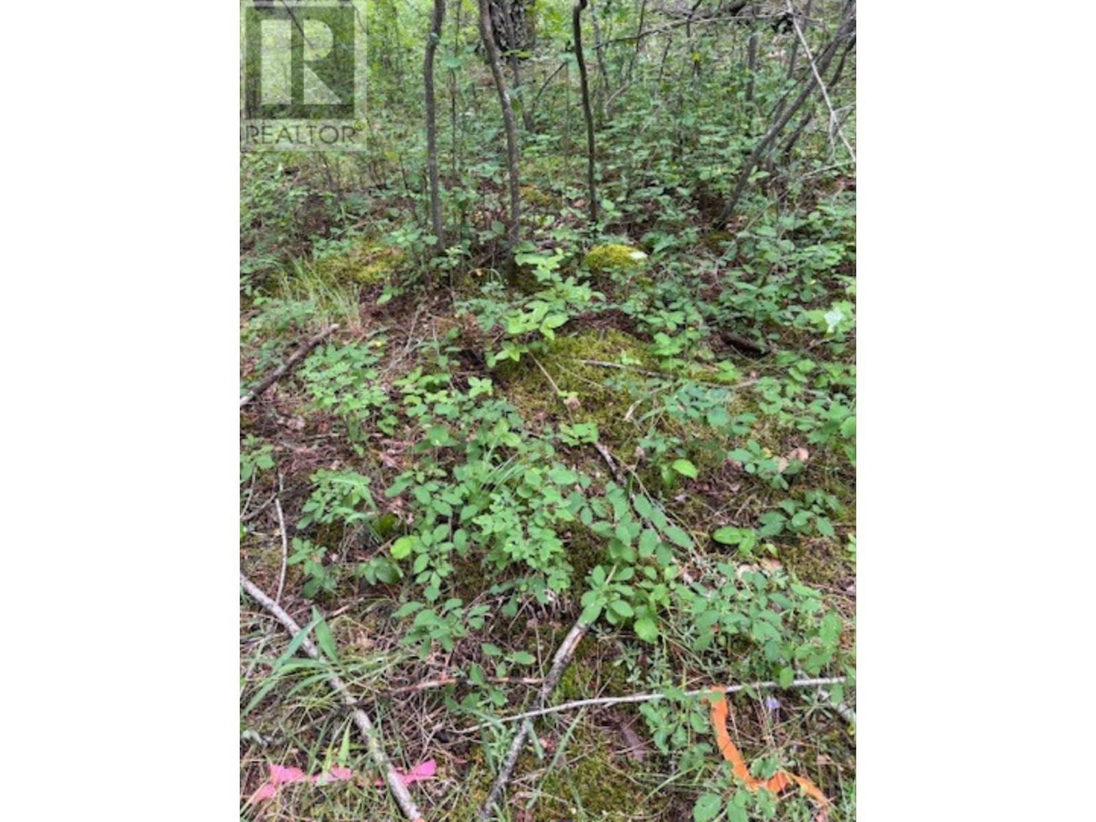 Lot 71 To 75 Holbrook Street, Elko, British Columbia  V0B 1T3 - Photo 2 - 10356809