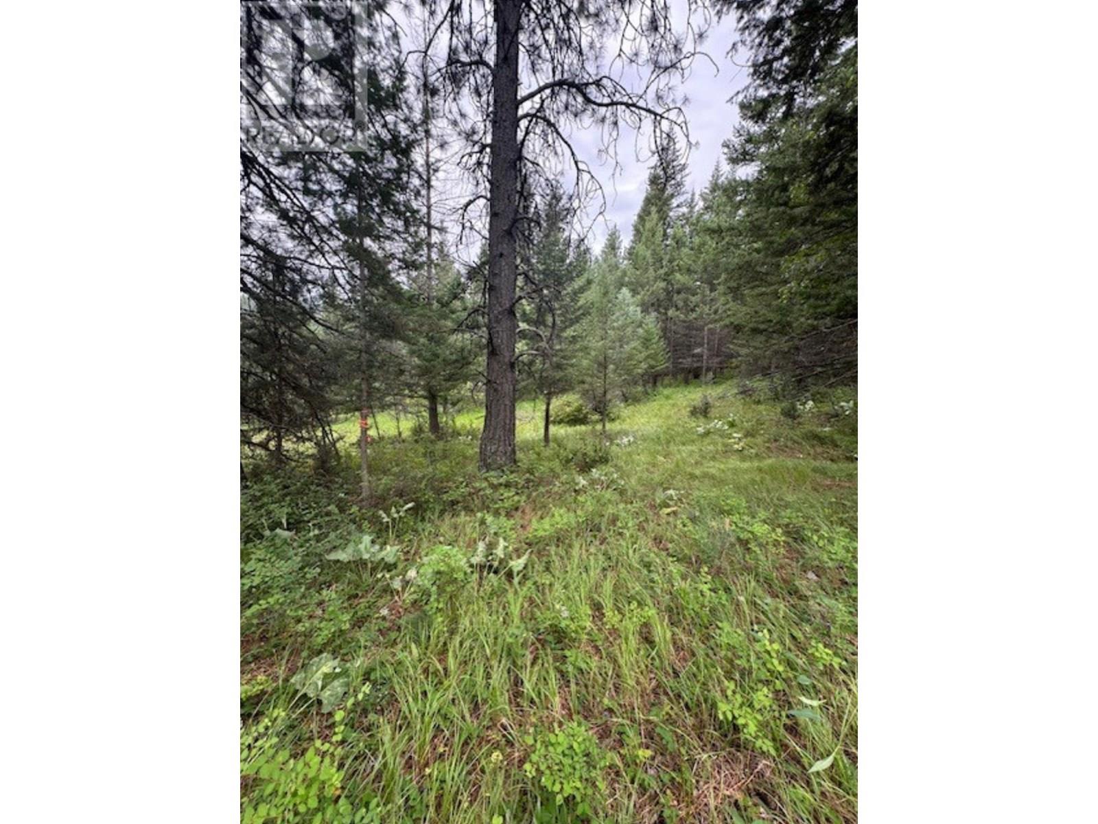 Lot 71 To 75 Holbrook Street, Elko, British Columbia  V0B 1T3 - Photo 3 - 10356809