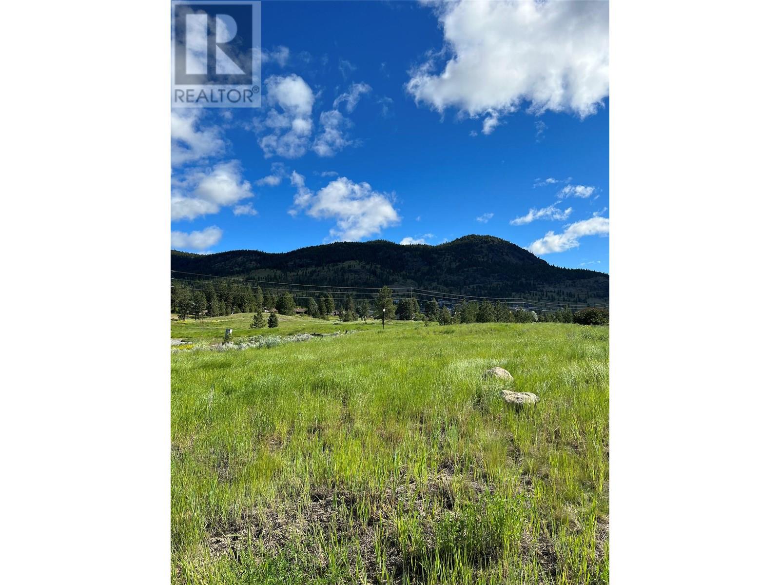 2488 Spring Bank Avenue, Merritt, British Columbia  V1K 1S1 - Photo 15 - 10356862