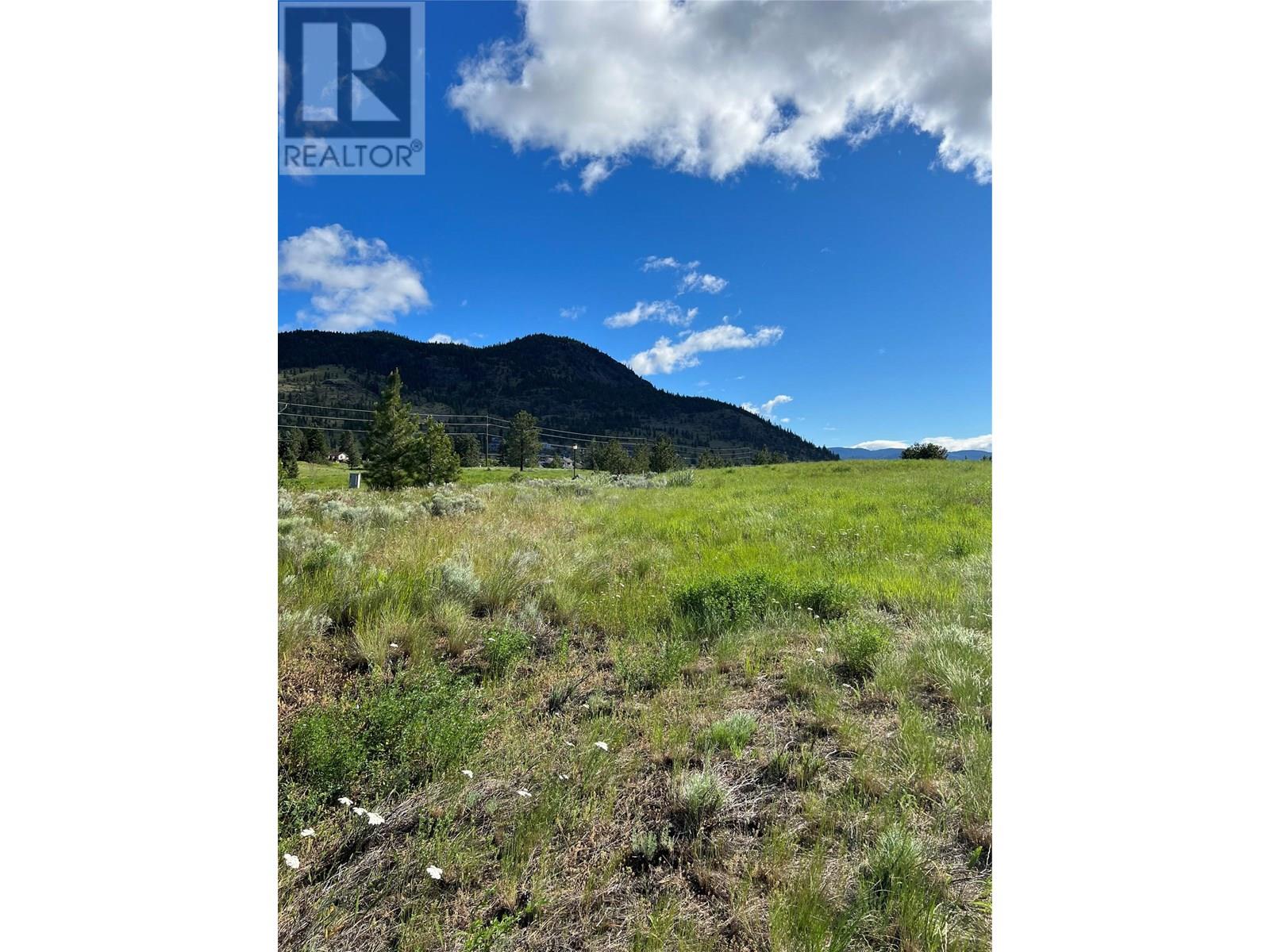 2488 Spring Bank Avenue, Merritt, British Columbia  V1K 1S1 - Photo 16 - 10356862