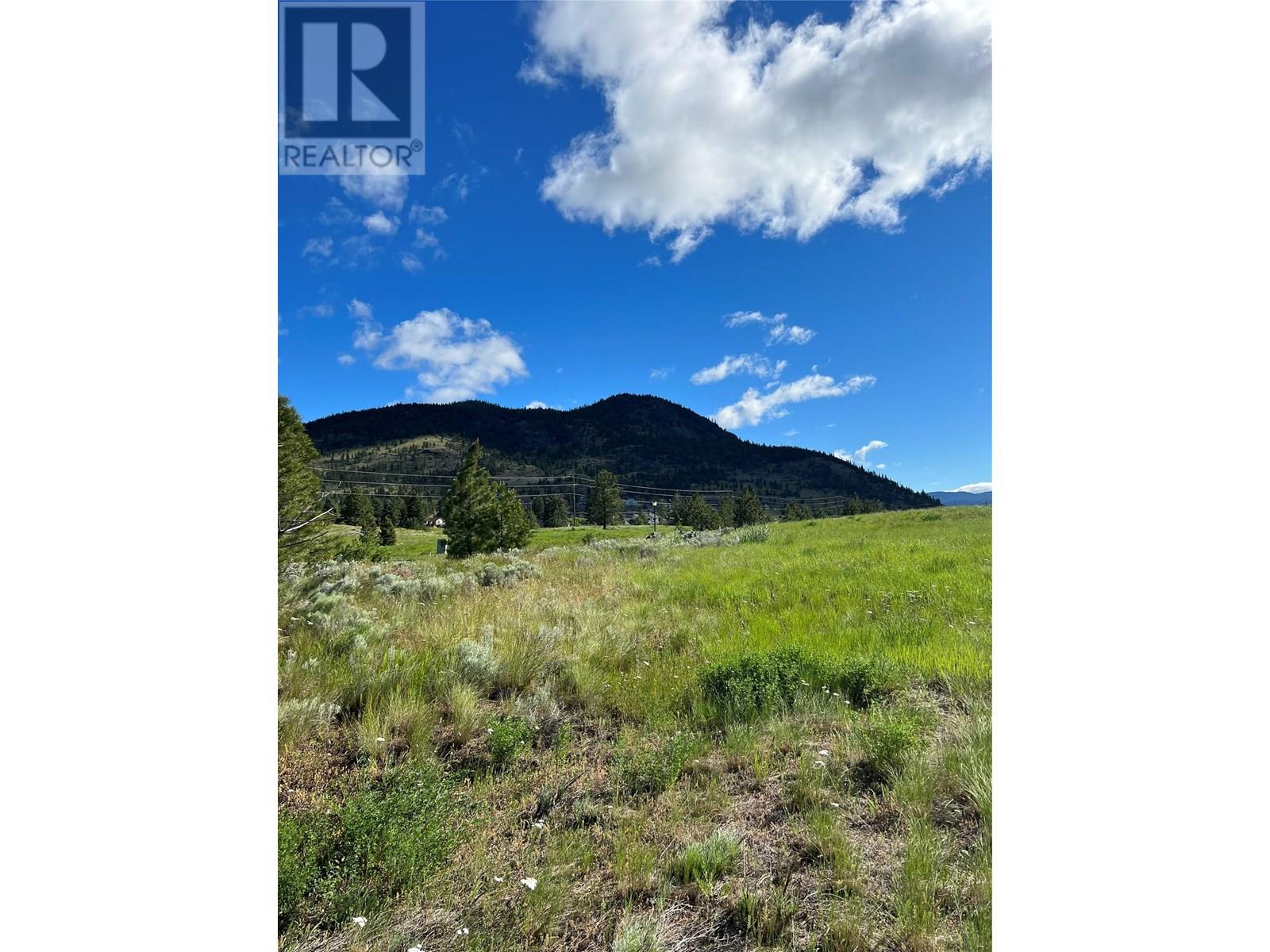 2488 Spring Bank Avenue, Merritt, British Columbia  V1K 1S1 - Photo 20 - 10356862