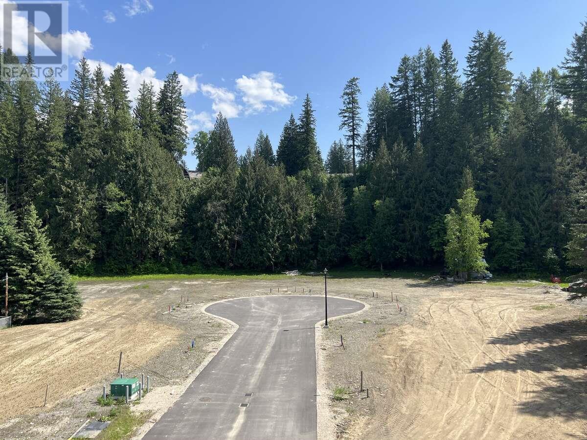 Sl 3 6-1445 Illecillewaet Road, Revelstoke, British Columbia  V0E 2S1 - Photo 10 - 10357076