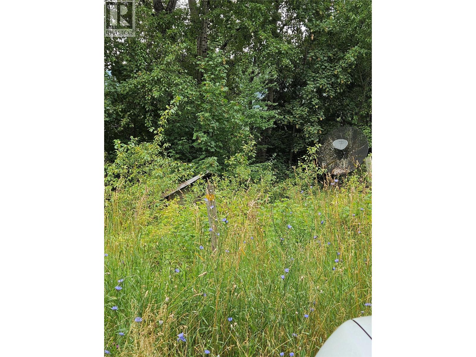 130 Lower Fauquier Road, Fauquier, British Columbia  V0G 1K0 - Photo 10 - 10357029