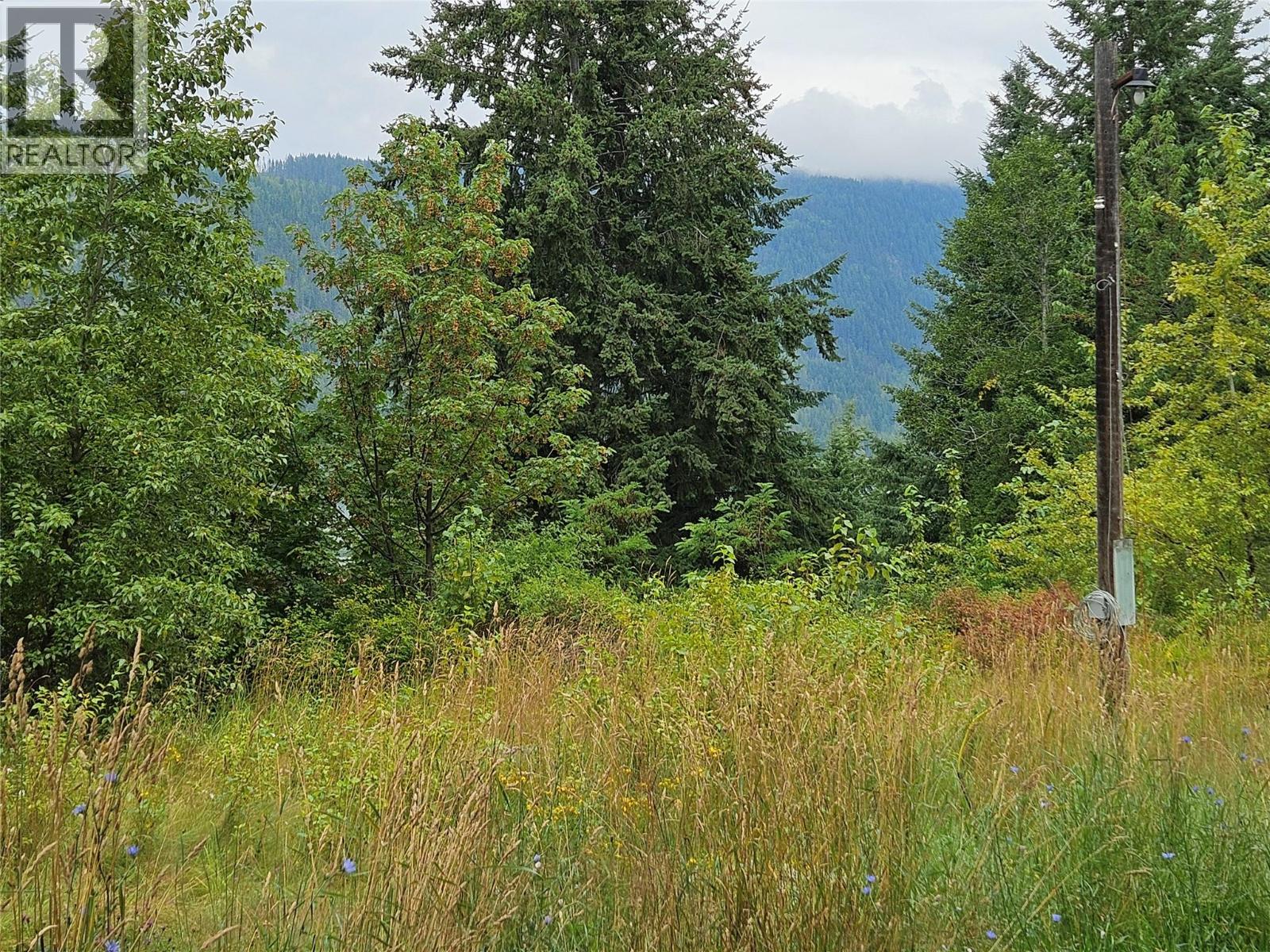 130 Lower Fauquier Road, Fauquier, British Columbia  V0G 1K0 - Photo 11 - 10357029