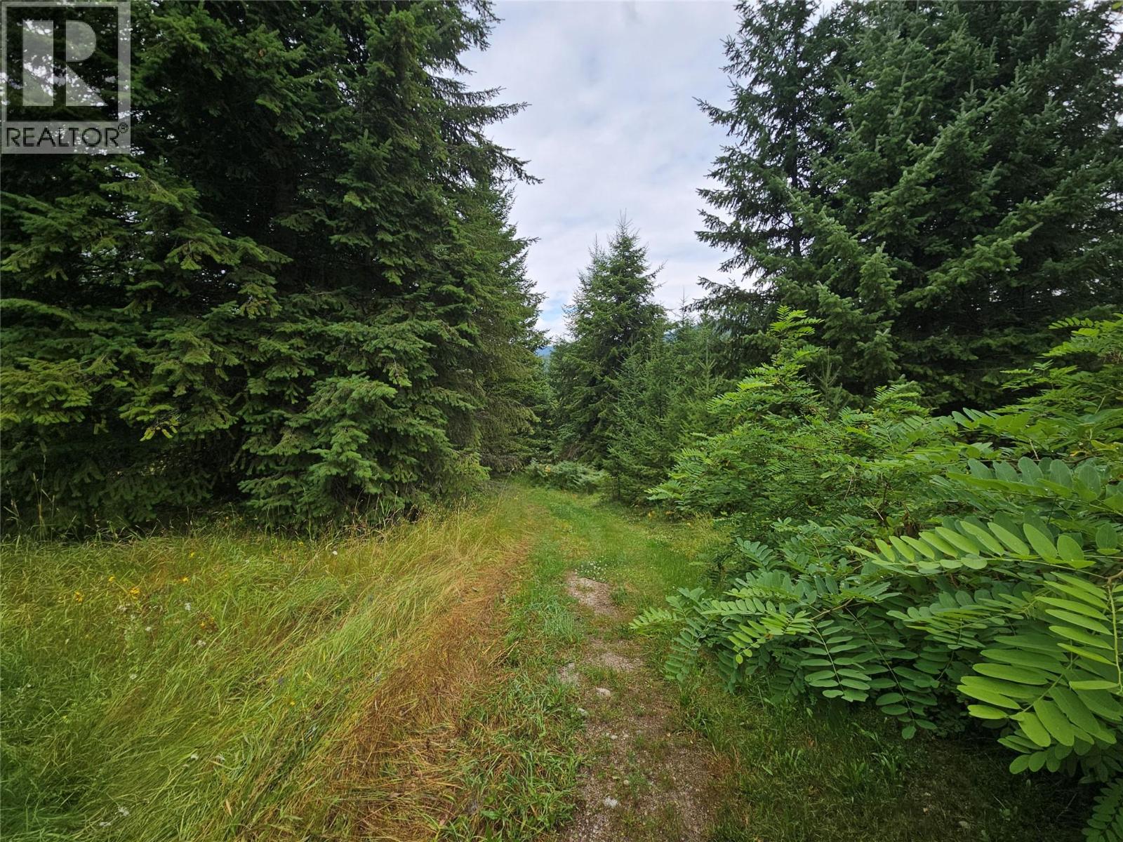 130 Lower Fauquier Road, Fauquier, British Columbia  V0G 1K0 - Photo 4 - 10357029