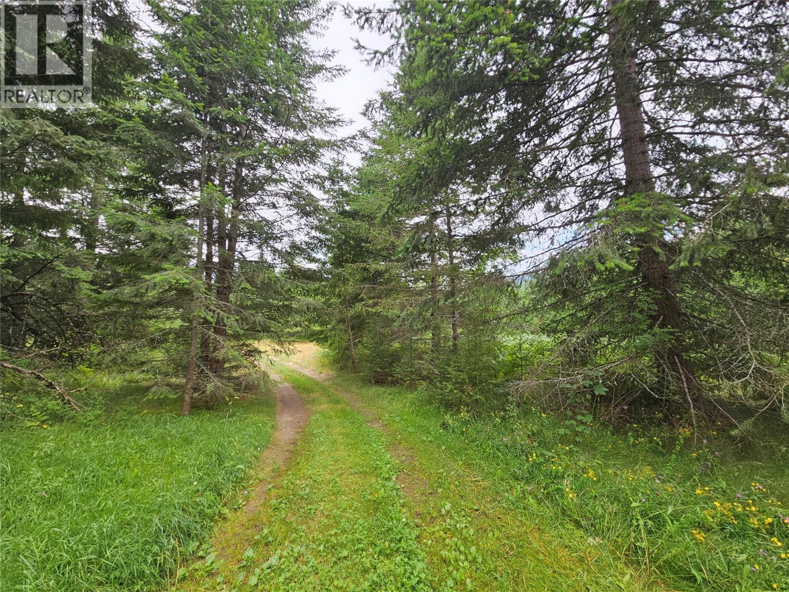 130 Lower Fauquier Road, Fauquier, British Columbia  V0G 1K0 - Photo 5 - 10357029