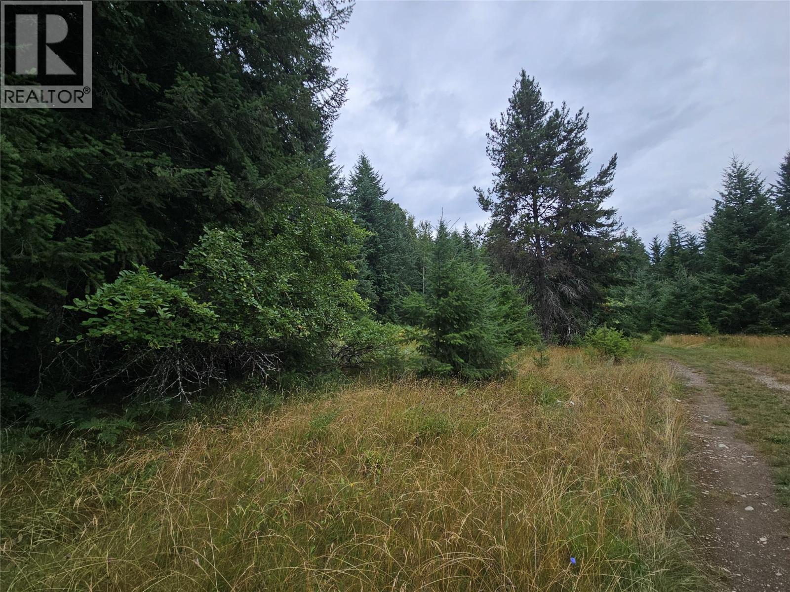 130 Lower Fauquier Road, Fauquier, British Columbia  V0G 1K0 - Photo 6 - 10357029