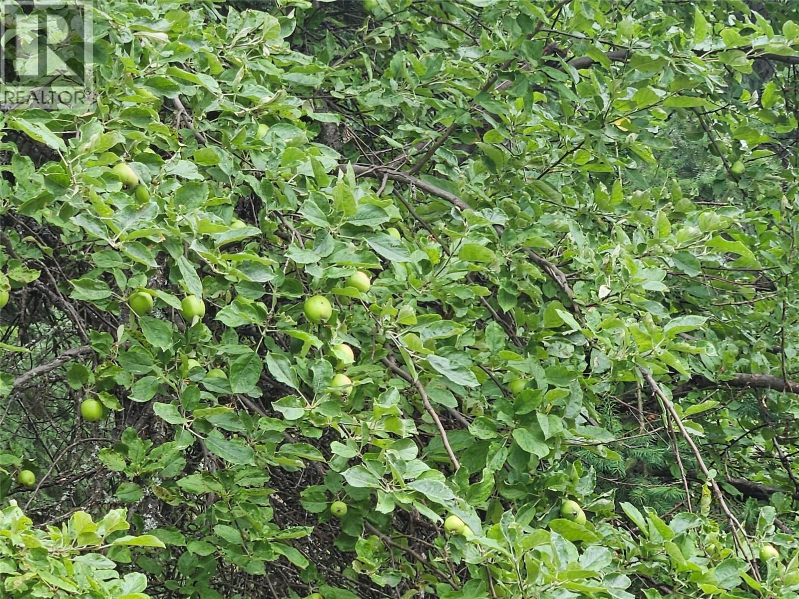 130 Lower Fauquier Road, Fauquier, British Columbia  V0G 1K0 - Photo 7 - 10357029